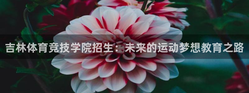 意昂登录