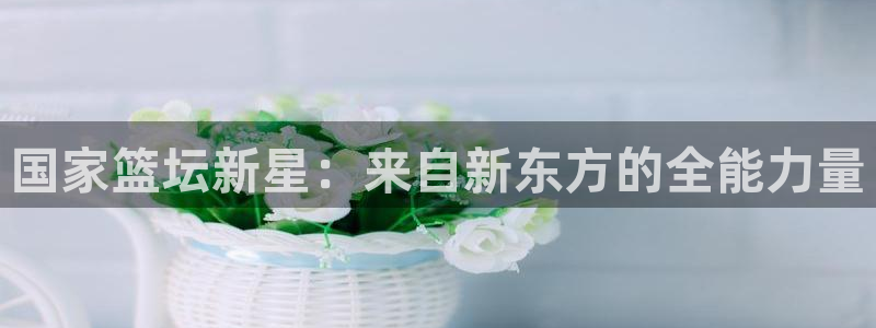 意昂2代理注册