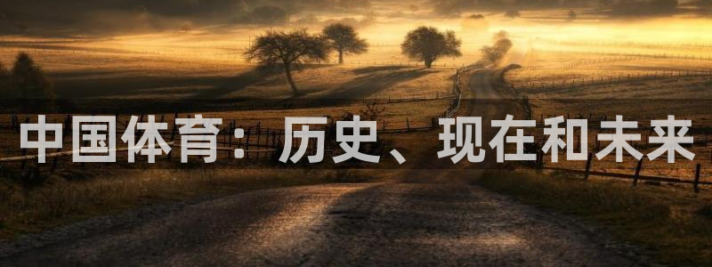 成都意昂电子有限公司