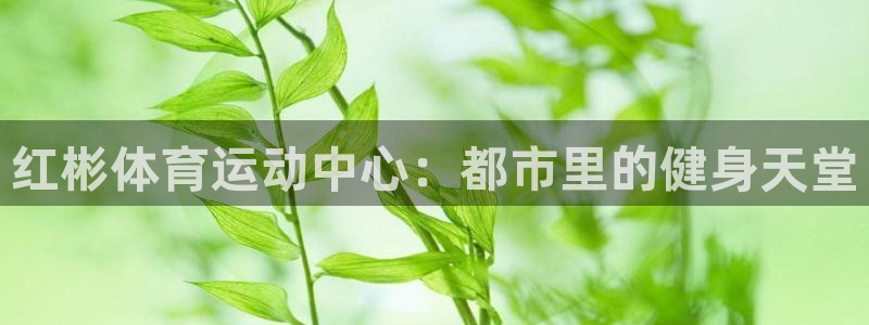 意昂体育凯捷平台代理