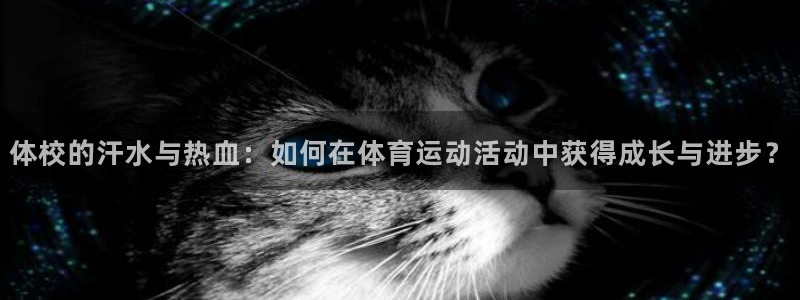 意昂体育凯捷平台代理