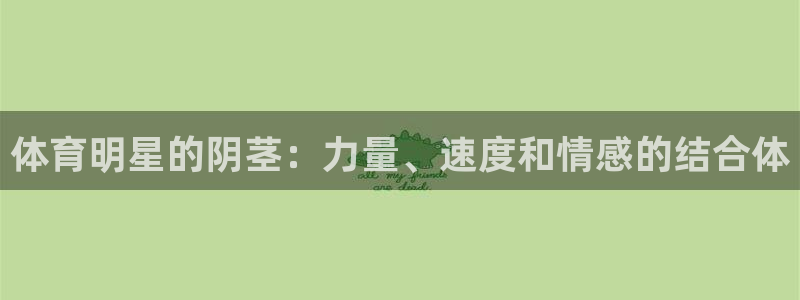 意昂凯捷平台注册链接