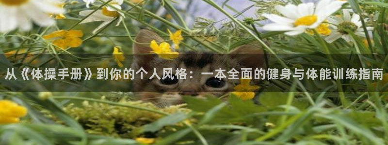 意昂体育凯捷代理注册
