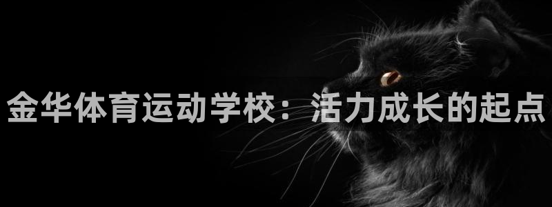 意昂体育用品