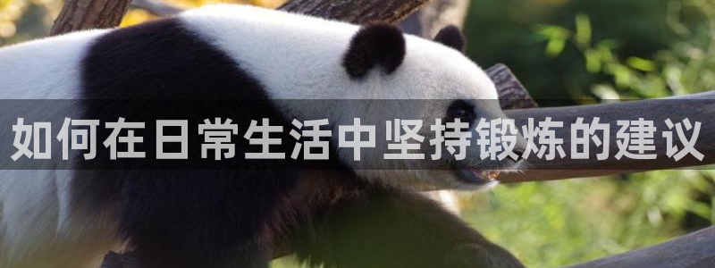 意昂体育f开号