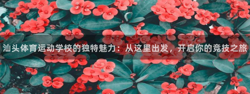 意昂体育平台开号链接