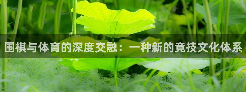 意昂3登录