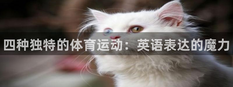 意昂体育凯捷平台主管