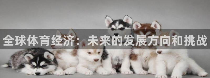 意昂体育注册登录入口