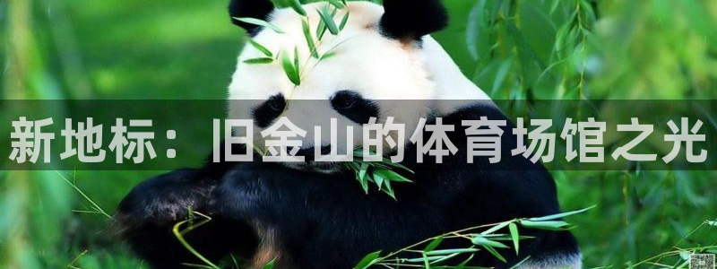 意昂平台招商